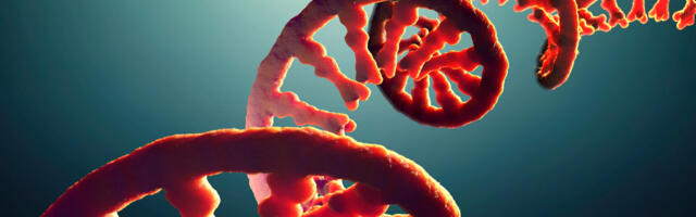 Do you take after your dad’s RNA?