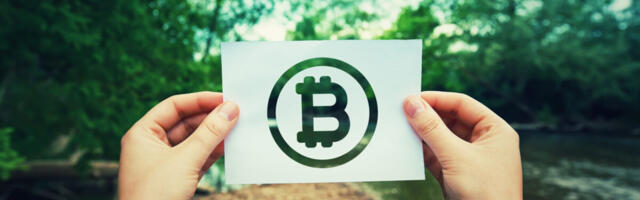 Sustainable Crypto Is More Appealing for Investors Say Industry Experts