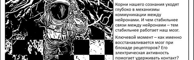 Поддержка нейронных связей