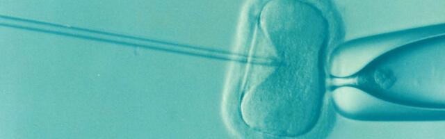 Manina Medtech raises €1.75M for IVF efficacy