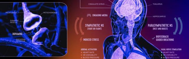 DeepWell gets FDA clearance for games and interactive media to treat mental health issues