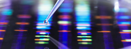 Ansa Biotechnologies wants to usher in a new era of DNA manufacturing