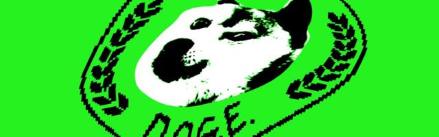 DOGE staffer ‘Big Balls’ has access to immigration agency’s data