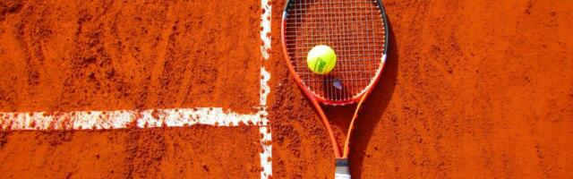 How to watch Alcaraz vs. Sinner in the 2024 French Open online for free