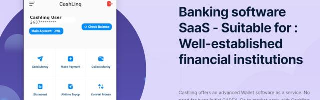 Zimbabwe’s Cashlinq launches banking-as-a-service platform for small businesses