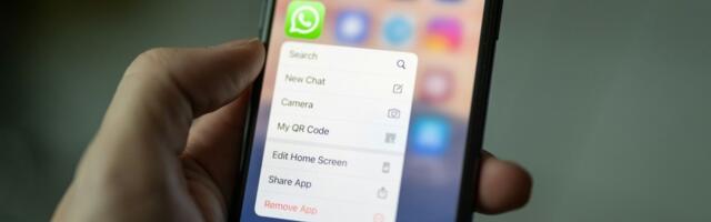 WhatsApp is getting an AI chatbot because of course it is