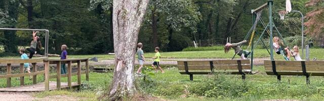 I set up a free-range playdate for kids in our area. Parents take turns watching the group, and we don't hover over them as they play.