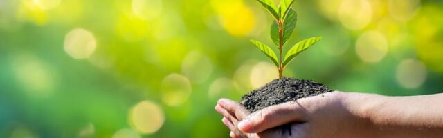 9 Eco-Friendly Activities to Celebrate Earth Day