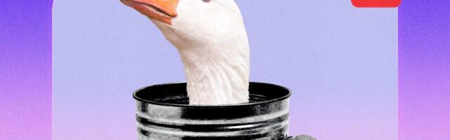 Gay Men Flocked to Goose for Friendship. Some Still Feel Excluded