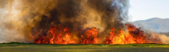 What You Should Know About Wildfire Smoke in Homes