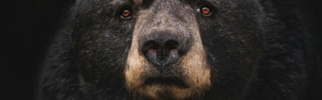 Asia Morning Briefing: Traders Tilt Bearish on August BTC, ETH Targets as Retail Lags Institutions