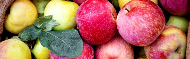 Trump’s Tariffs Are Threatening America’s Apple Juice Supply Chain