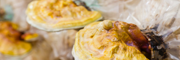 John Legend and Natalie Portman want you to try wearing fungus instead of leather