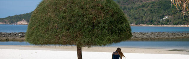 Psy for IT. Алгоритм обиды