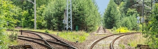 A long-time developer wants to split Bitcoin blockchain and reassign Satoshi coins. The community is calling it a theft