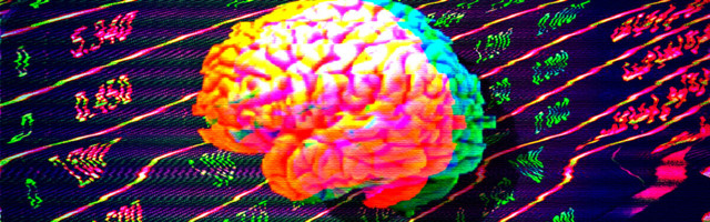 Here’s what all successful AI startups have in common