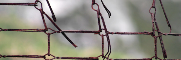 The Rust programming language finds a new home in a non-profit foundation