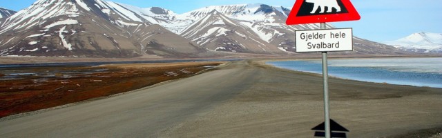 Turns out a freezing island in Norway is pretty great for digital nomads