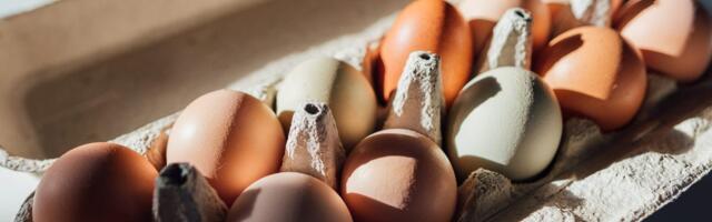 Organic eggs sold at 25 Costco stores were recalled for Salmonella risk