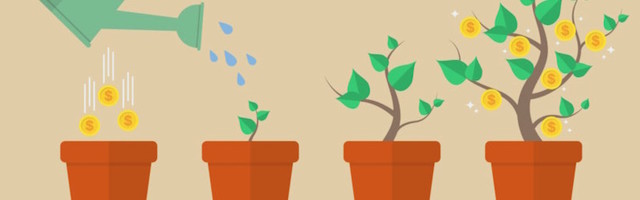 How to Maximize Your Profitable Growth in Your Chosen Market Segments