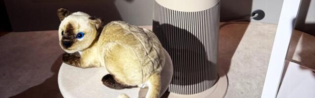 Three bizarre home devices and a couple good things at CES 2025