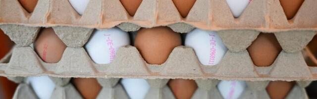 Enough about Greenland. The US now wants Denmark's help with its egg shortage.