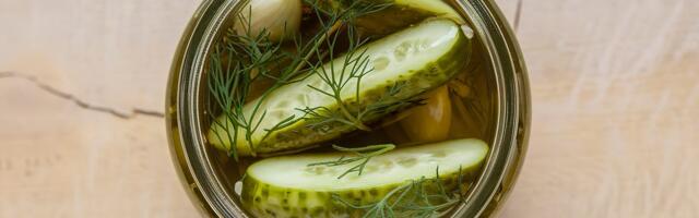 Build a Healthy Gut With These Rd-Approved Probiotic-Filled Foods