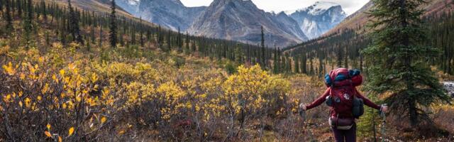 I've been to all 63 US national parks. These 4 are my favorites — but these 3 didn't impress me much.