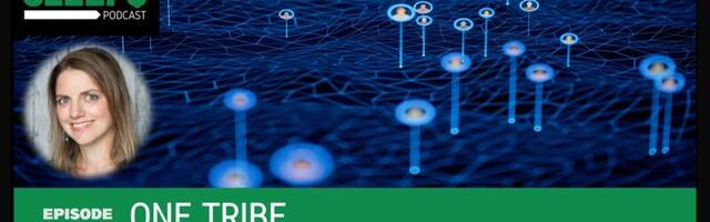 MoneyNeverSleeps: Katerina Bohle Carbonell, TogetherCrew and Web3 Communities
