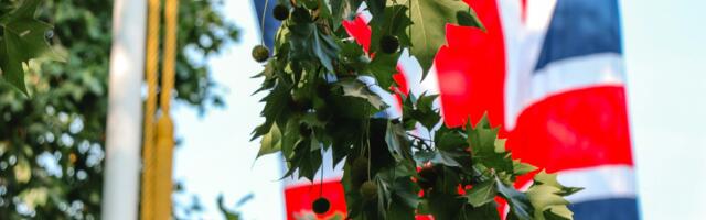 lords report warns of UK ‘incubator economy’