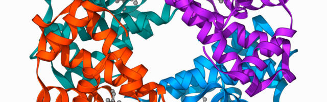 Clinical trial shows gene editing works for β-Thalassaemia, too