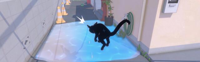 How to get the map in Little Kitty, Big City