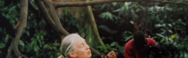 11 Best Nature Documentaries on Netflix, Hulu, and More (2025)