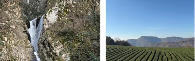 Айтишный релокейт в Сочи: а стоит ли это огромных денег?