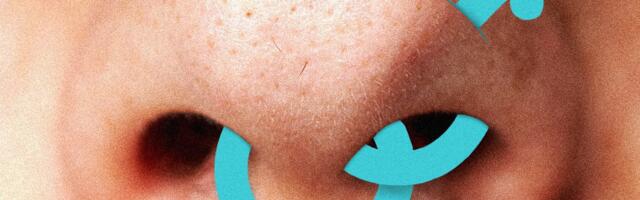 Sniffies’ Users Worry About a ‘Straightification’ of the Gay Hookup App