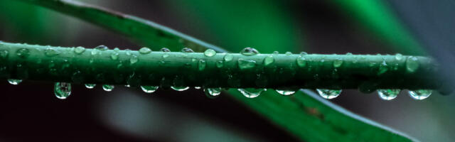 Climate tech companies join Net Zero programme