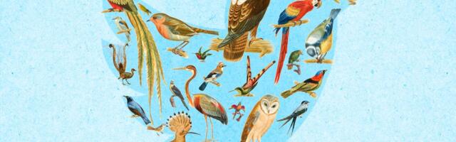 The Next Twitter Is Just Thousands of Smaller Twitters