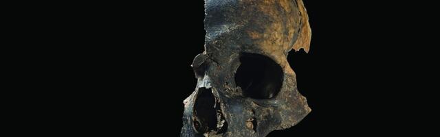 Killed, Butchered and Cannibalized: Archaeologists Uncover Horrific Prehistoric Massacre in Britain