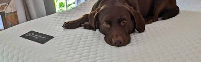 I Was Overwhelmed by Mattress Shopping. This $374 Mattress Topper Bought Me a Few More Comfortable Years