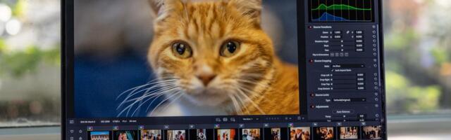 DaVinci Resolve 21 hands-on: A viable Lightroom alternative for casual users