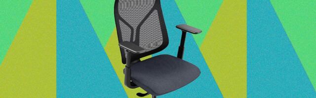 Vari Align Desk Chair Review (2026): Breathable, Comfy, Low Cost