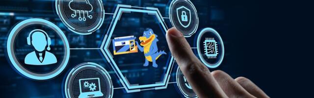 HostGator VPS and Shared Hosting Review