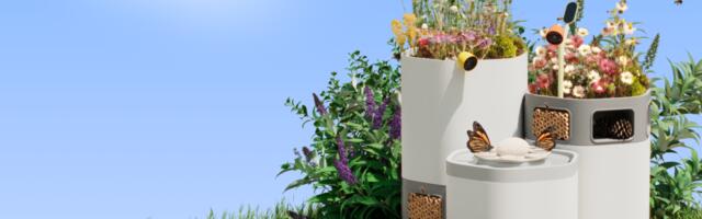 New Bird Buddy smart garden products let you peek into the secret lives of pollinators