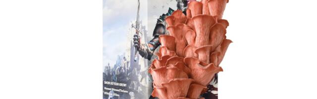 Avowed has an official mushroom kit, so you can grow delicious face mushrooms then eat them