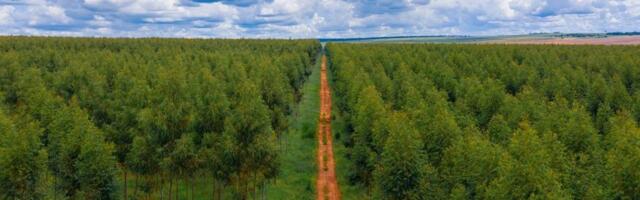 Apple is investing additional $200 million in carbon removal fund