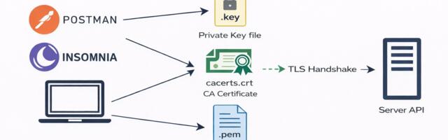 Способ авторизации mTLs в Postman и Insomnia