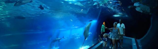 RocketRez Raises $15 Million for Tours and Attractions Operator Software