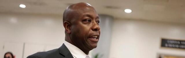 All the Republicans running for president in 2024, explained