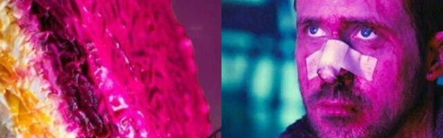 Как селёдка сделала Нидерланды великой державой, а в СССР обзавелась шубой