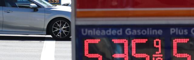 Gas prices hit 2023 highs as oil stays hot